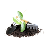 الحديقة والمساحات الخارجية